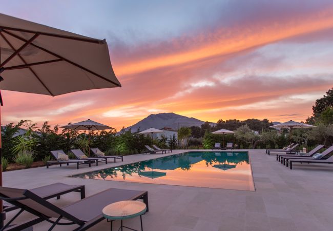 Villa in Castellammare del Golfo - Casale Buccellato 10 Villa in Castellammare del Golfo - Casale Buccellato 10