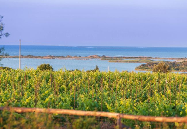 Villa in Noto - Passo Degli Aironi 12 Villa in Noto - Passo Degli Aironi 12