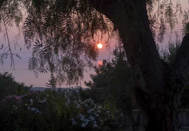 Villa in Collesano - Villa Passulunara 14 Villa in Collesano - Villa Passulunara 14