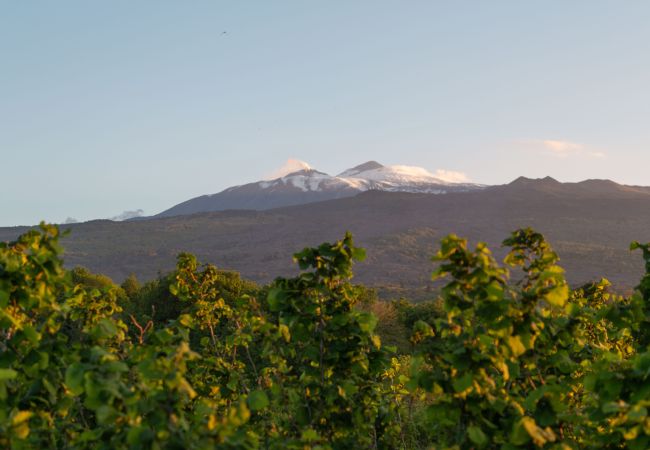 Villa in Castiglione di Sicilia - Villa Terre Normanne Villa in Castiglione di Sicilia - Villa Terre Normanne
