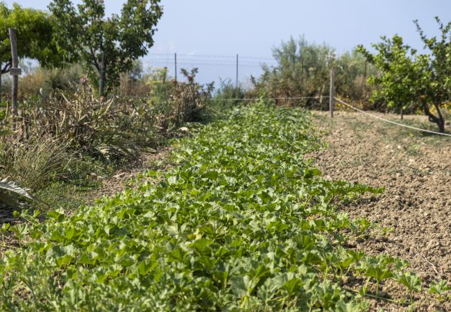 Villa in Collesano - Villa Passulunara 8 Villa in Collesano - Villa Passulunara 8