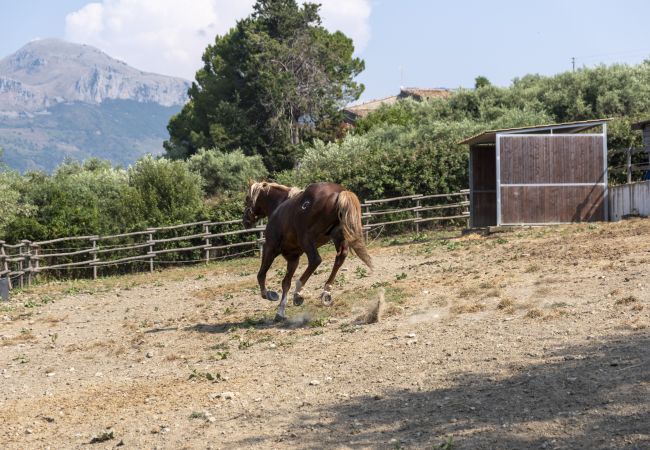 Villa in Collesano - Villa Passulunara 8 Villa in Collesano - Villa Passulunara 8